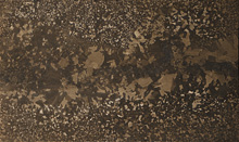 SN-Antigue