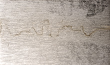 SN-04 Wood